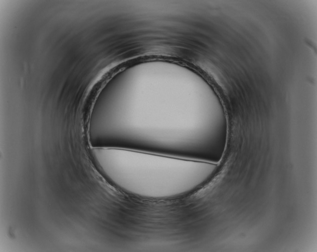 X0000097860923200803140853