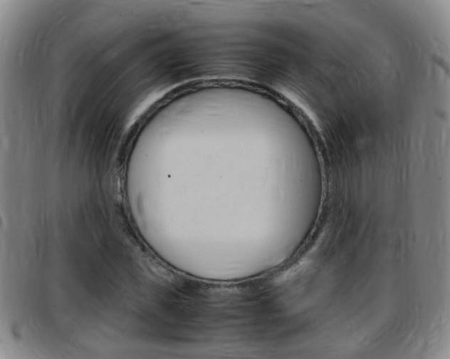X0000097860925200803140853