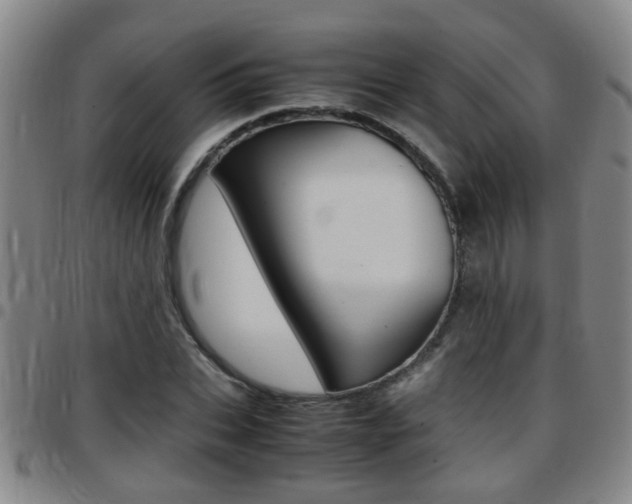 X0000097860927200803140853
