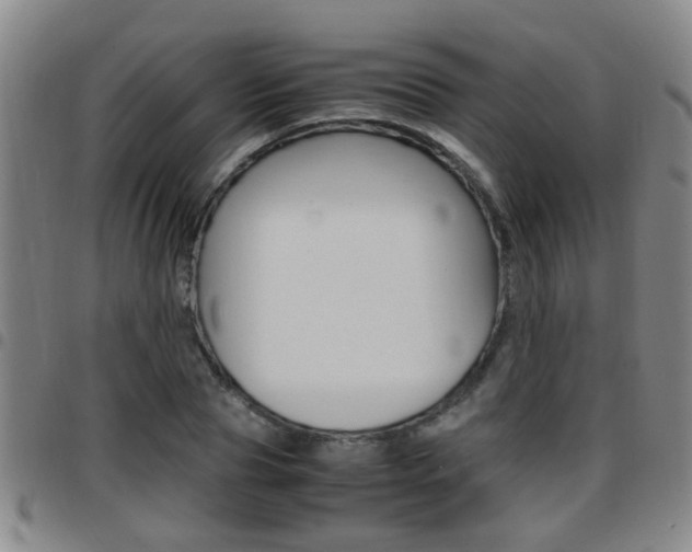 X0000097860929200803140853