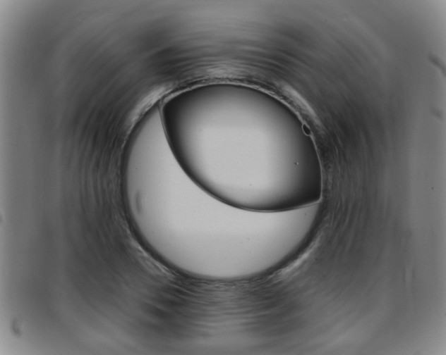 X0000097860930200803140853