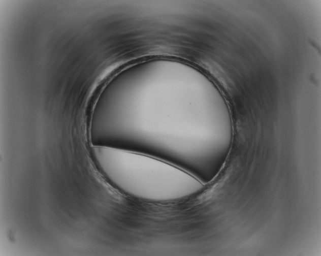 X0000097860931200803140853
