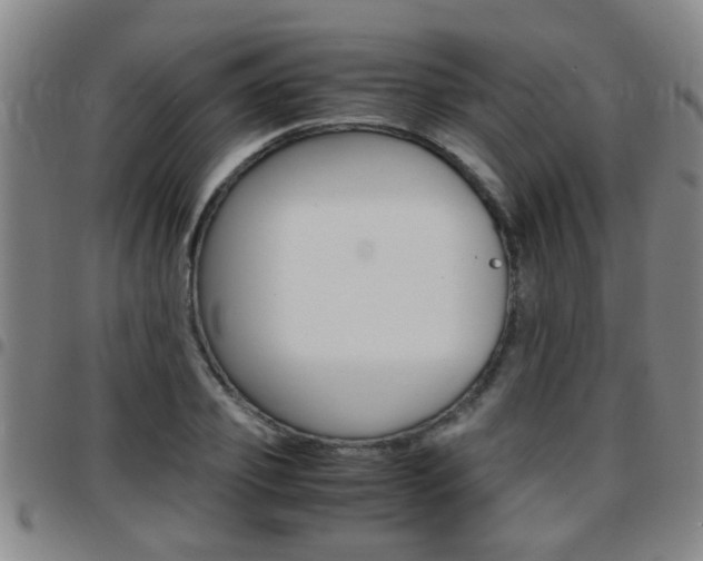 X0000097860933200803140853