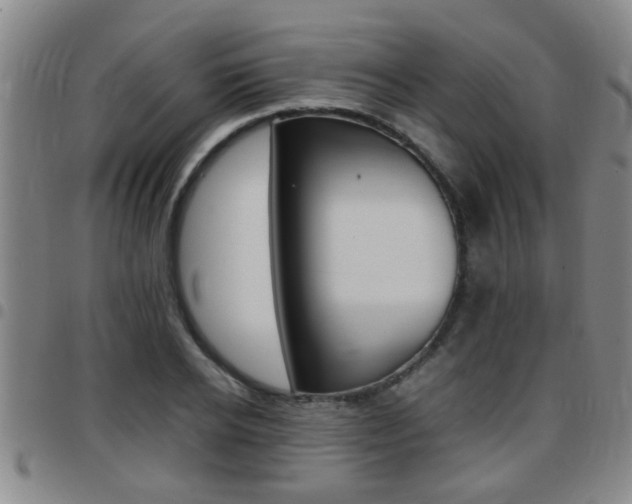 X0000097860934200803140853