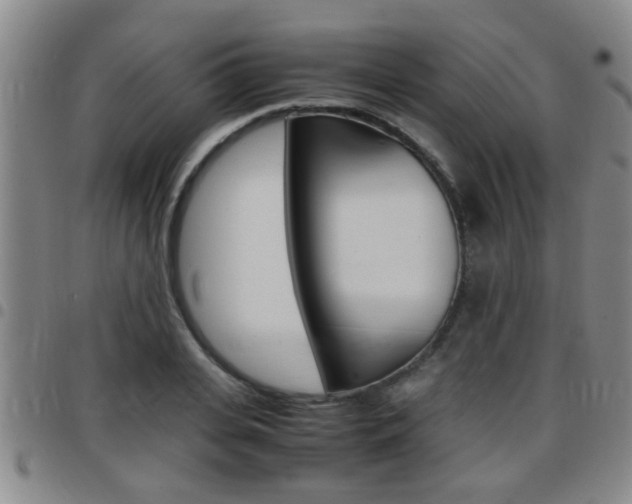 X0000097860935200803140853