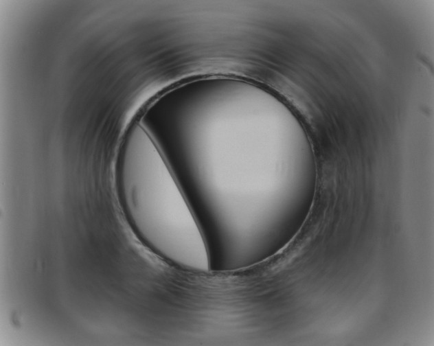 X0000097860936200803140853