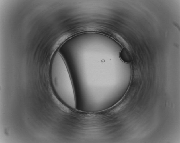X0000097860938200803140853