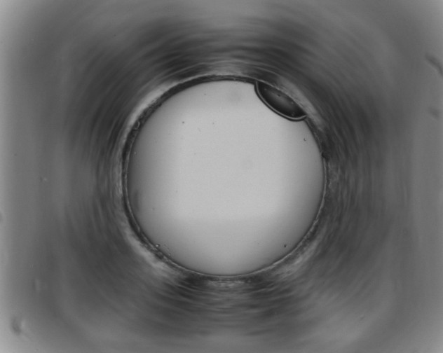 X0000097860939200803140853