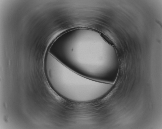 X0000097860940200803140853