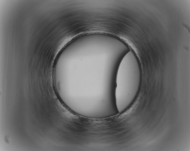 X0000097860941200803140853
