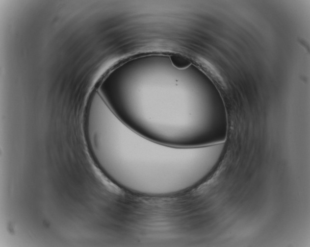 X0000097860942200803140853