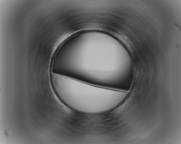 X0000097860943200803140853