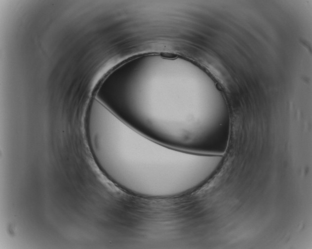 X0000097860944200803140853
