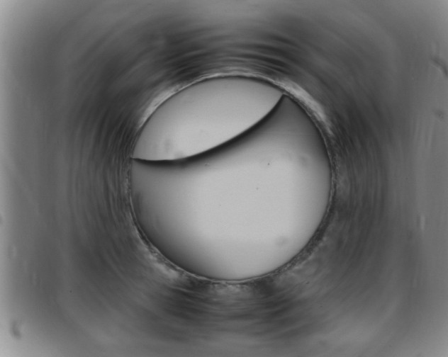 X0000097860945200803140853