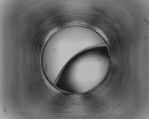 X0000097860946200803140853
