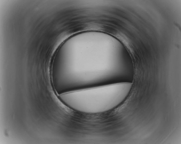 X0000097860947200803140853