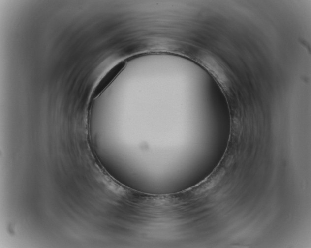 X0000097860948200803140853