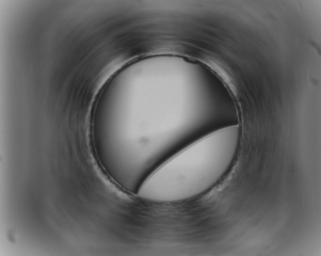 X0000097860949200803140853