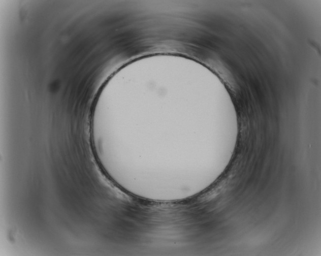 X0000097860950200803140853