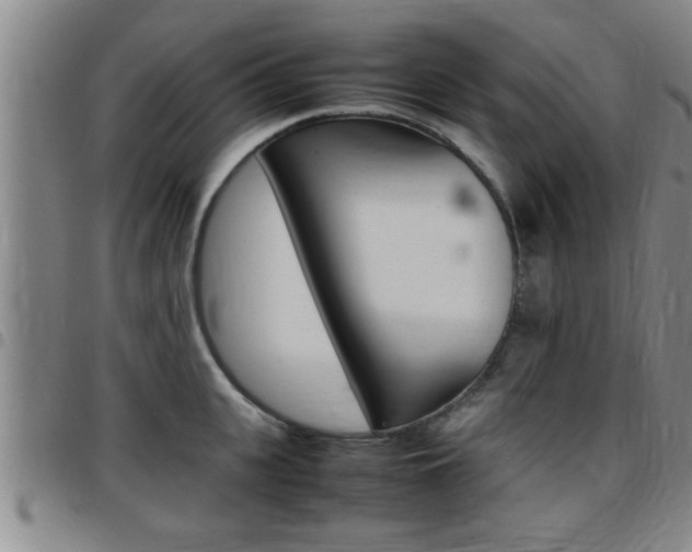 X0000097860951200803140853