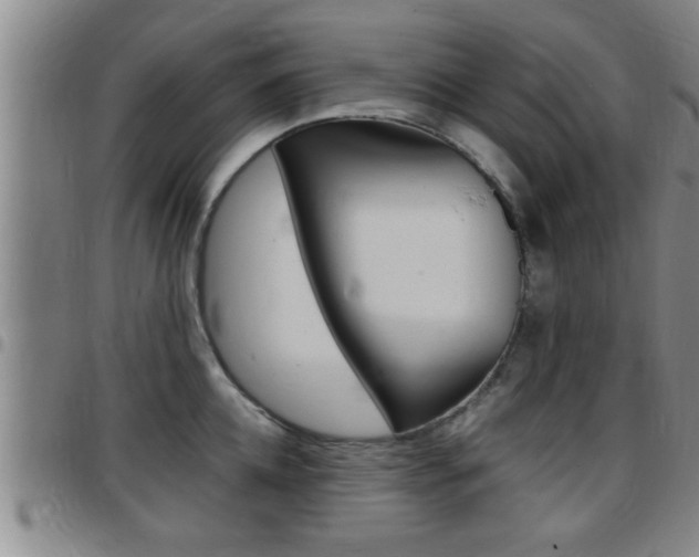 X0000097860952200803140853