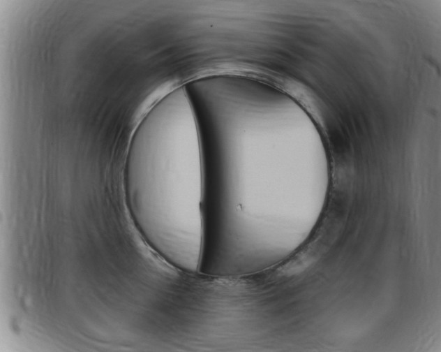 X0000097860954200803140853