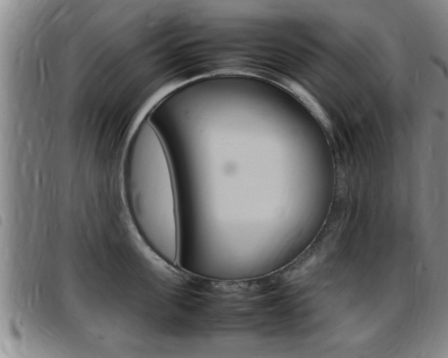 X0000097860955200803140853