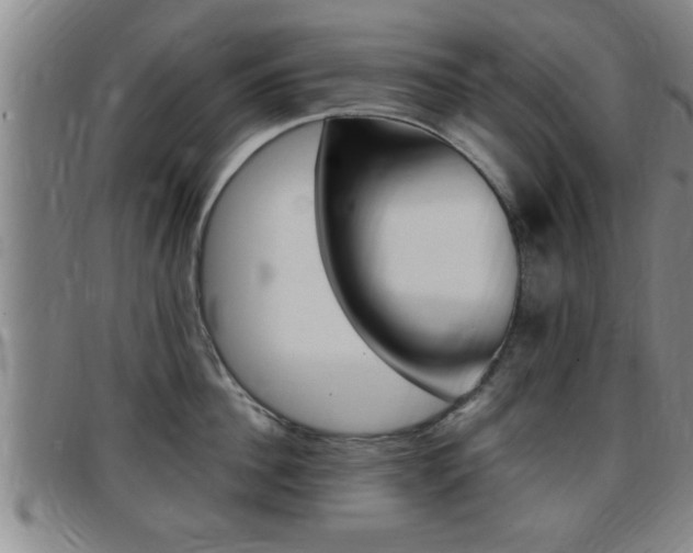 X0000097860956200803140853