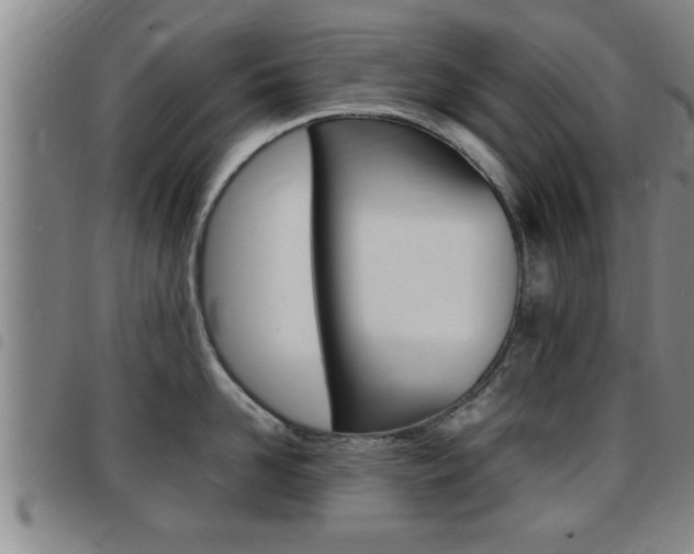 X0000097860958200803140853