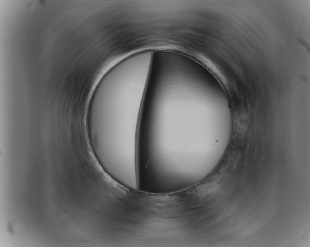 X0000097860959200803140853