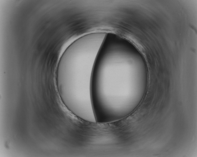 X0000097860960200803140853