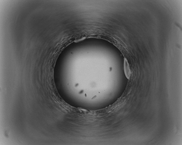 X0000097860961200803140853
