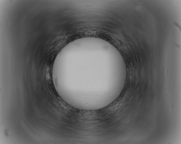 X0000097860962200803140853
