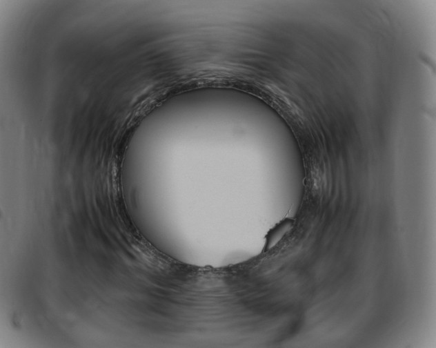 X0000097860964200803140853