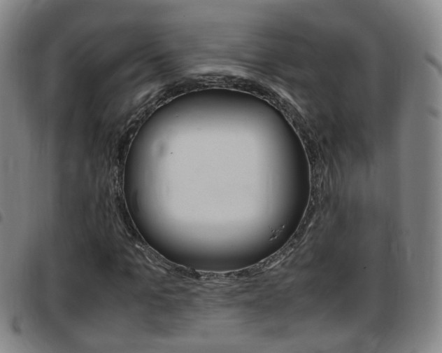 X0000097860965200803140853