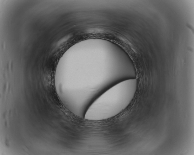 X0000097860966200803140853