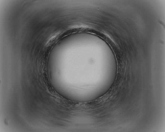 X0000097860967200803140853