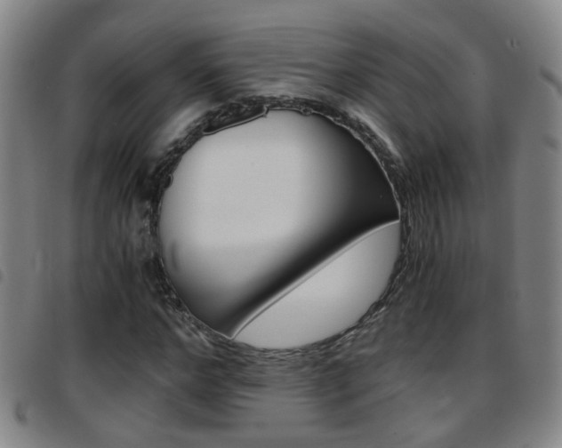 X0000097860968200803140853