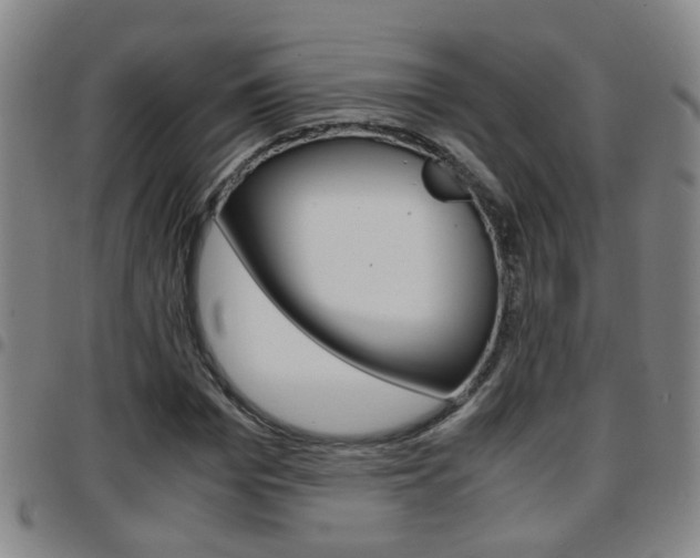 X0000097860969200803140853