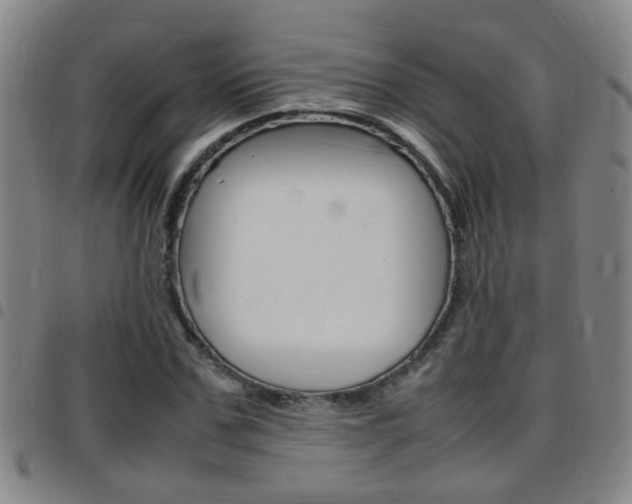 X0000097860971200803140852