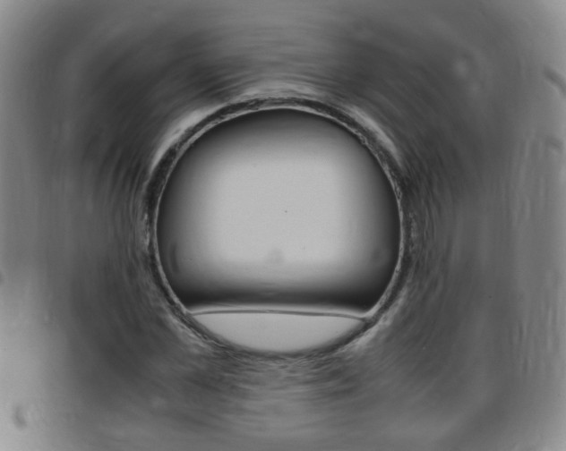 X0000097860973200803140852