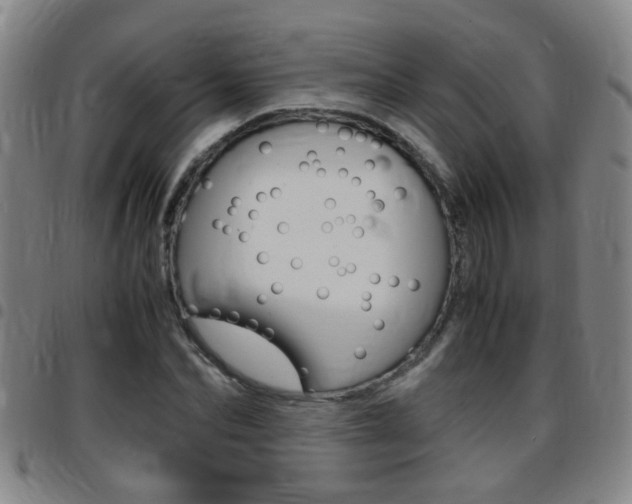 X0000097860974200803140852