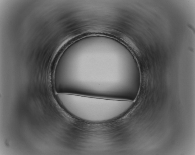 X0000097860976200803140852