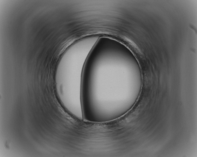 X0000097860977200803140852