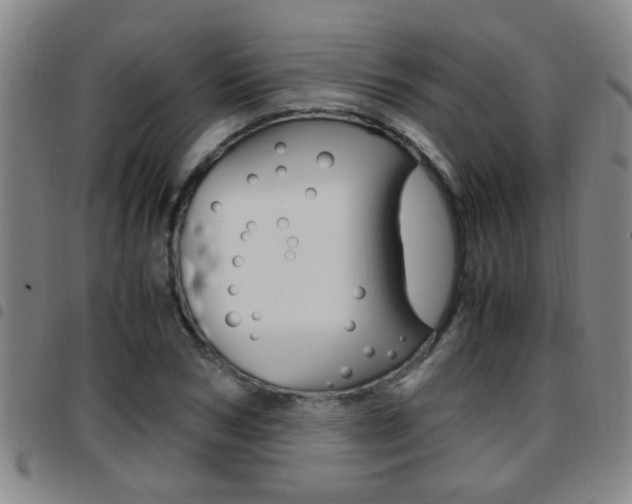 X0000097860978200803140852