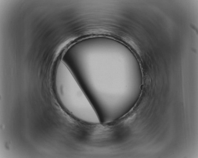X0000097860979200803140852