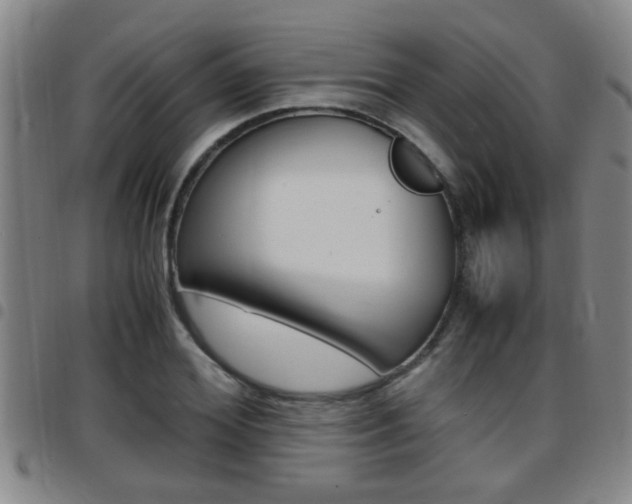 X0000097860980200803140852
