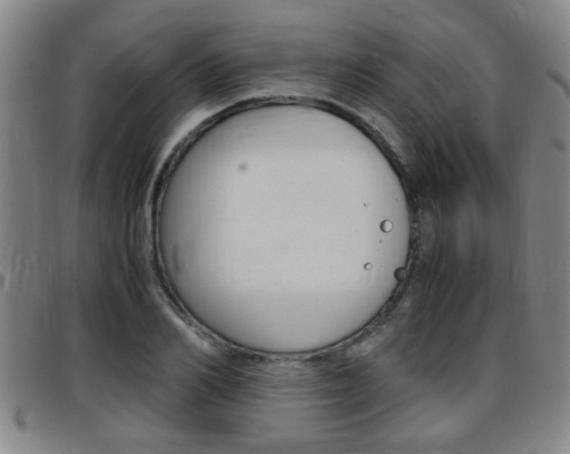 X0000097860982200803140852