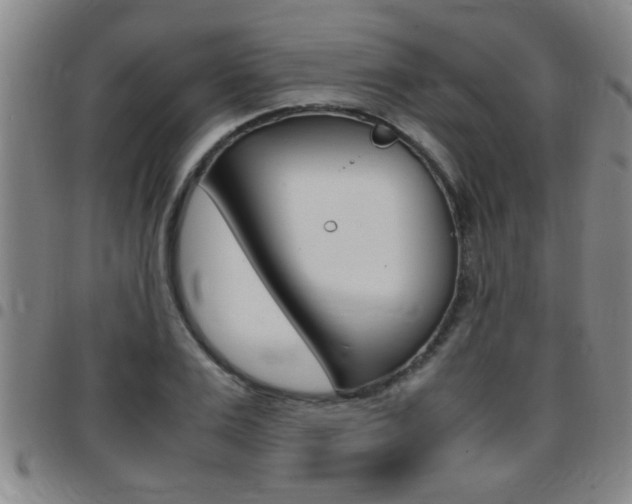 X0000097860983200803140852