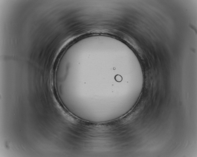 X0000097860984200803140852